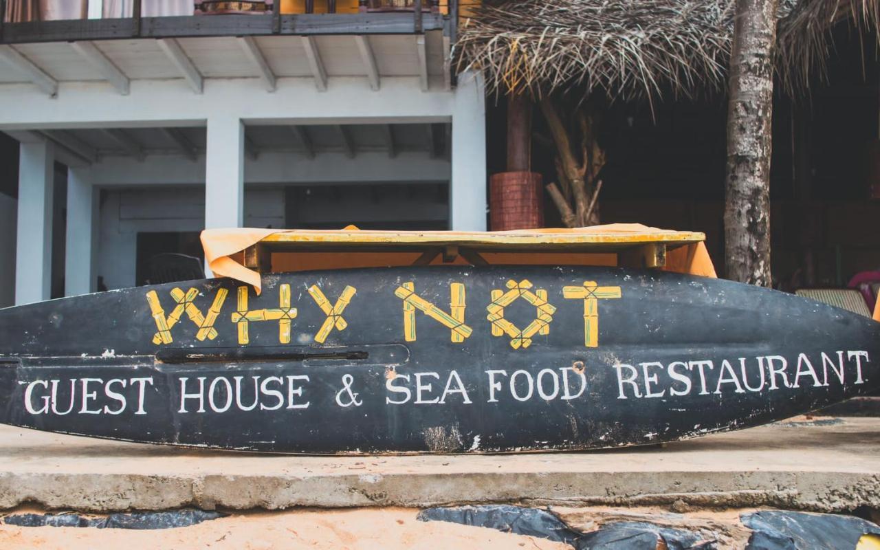 Why Not Guest House هيكادوفا المظهر الخارجي الصورة