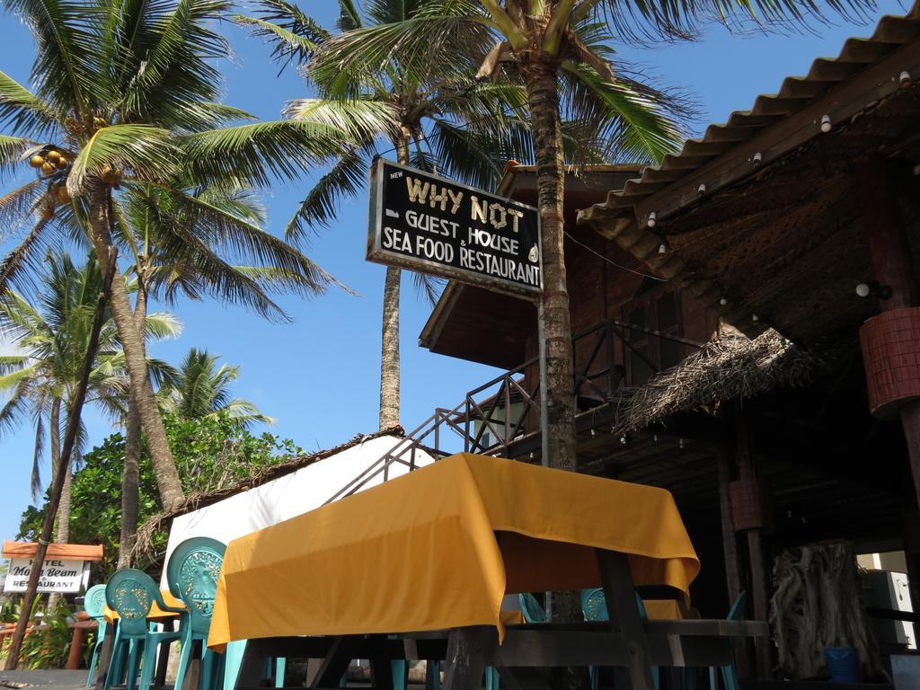 Why Not Guest House هيكادوفا المظهر الخارجي الصورة